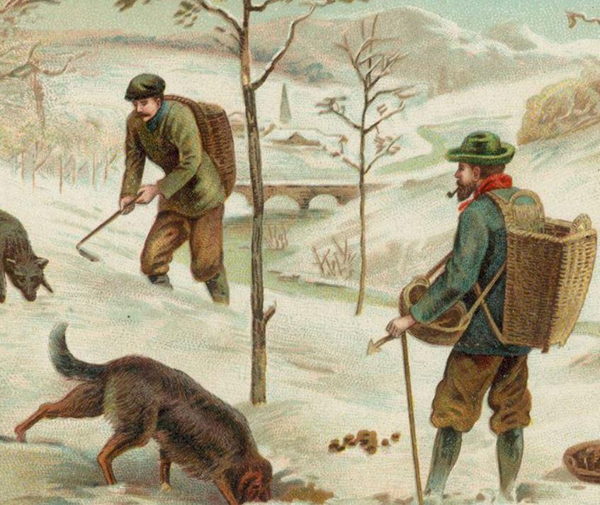 The truffle history - 1700 to 1900 — Tartuflanghe USA