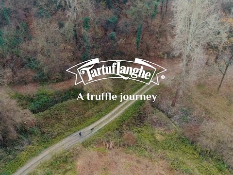 A truffle journey